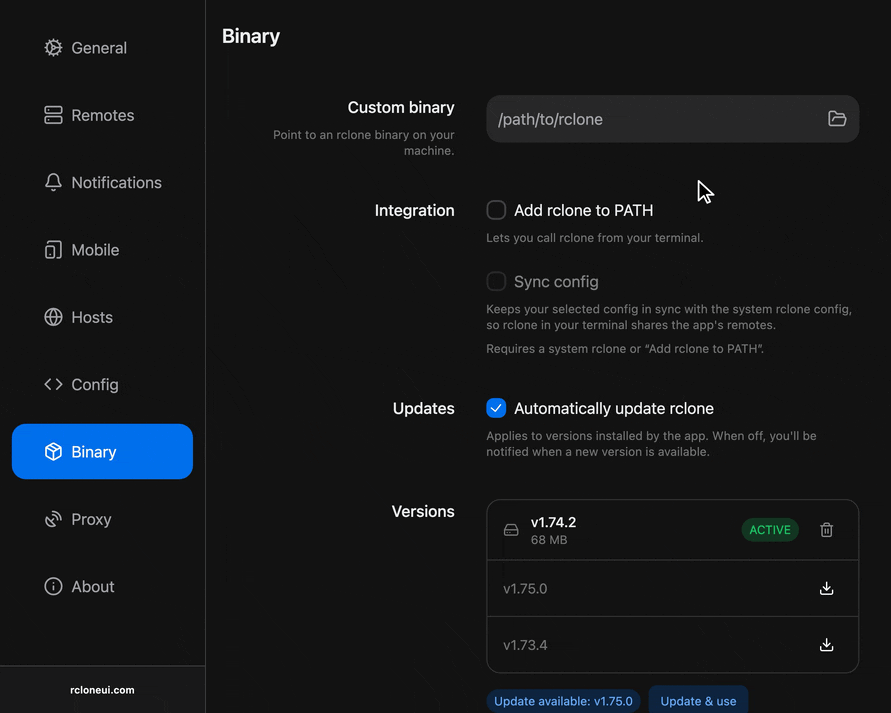Selecting a custom rclone binary in the Binary section of Settings